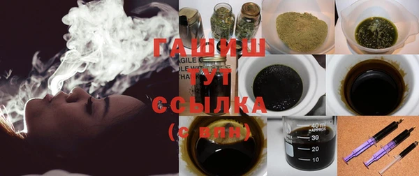 индика Осинники