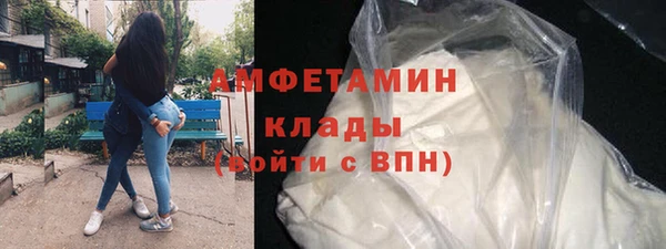 индика Осинники