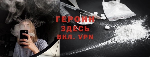 индика Осинники