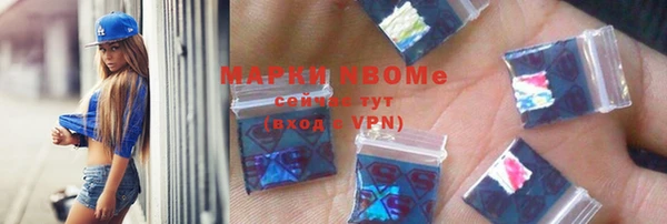индика Осинники