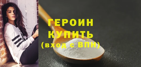 индика Осинники