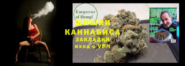 индика Осинники