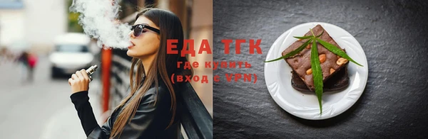 индика Осинники