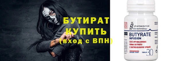 индика Осинники