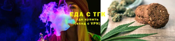 индика Осинники