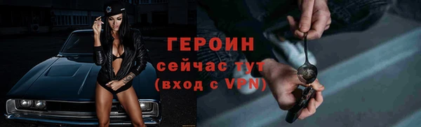 индика Осинники