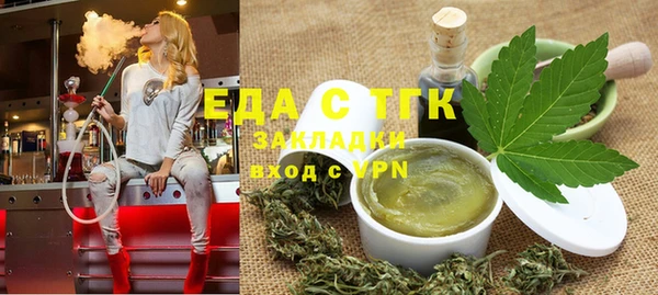 индика Осинники
