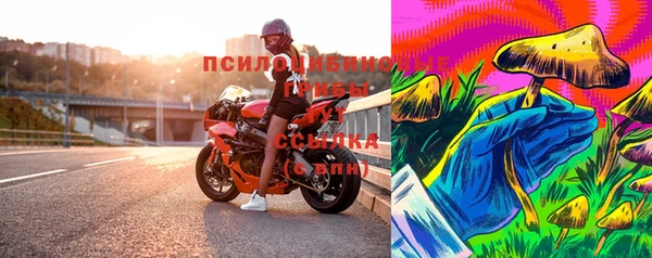 индика Осинники