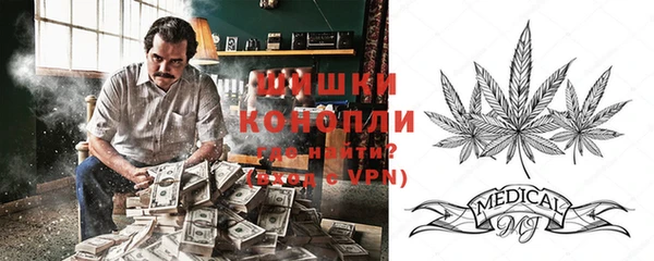 индика Осинники