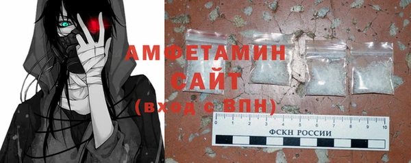 индика Осинники