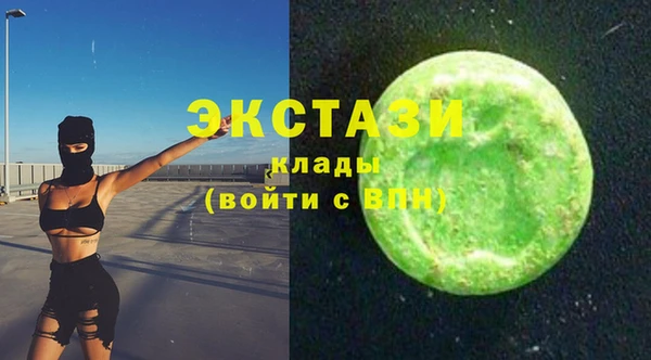 индика Осинники