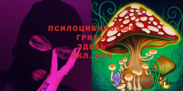прущий лед Осташков