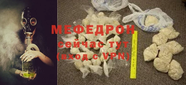 индика Осинники