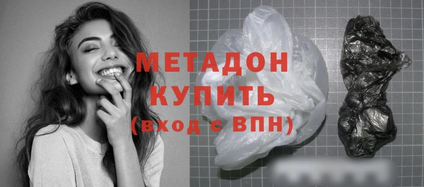 индика Осинники